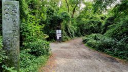 Naturpark 2000, das schöneberger Südgelände