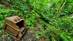 Südgelände, Überbleibsel aus alter Zeit entdeckt