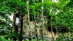 Bahnhofsreste zwischen den Bäumen, leider nicht zugänglich