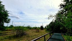 Südgelände, hin und wieder auch ein weiter Blick