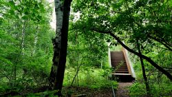 Südgelände, Blick vom Nichts auf die Treppe mit Rollen