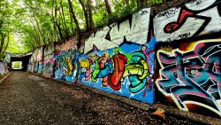 Südgelände, Farbenflash an alten Gleisanlagen