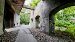 Südgelände, Einsicht und Durchsicht