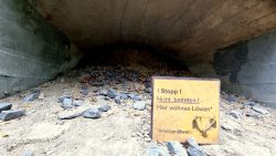 Südgelände, die Löwengrube