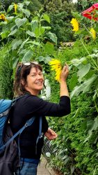 Wunderschöne Gärten mit fantasievollen Hecken  an der Grünauer Straße