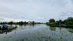 Der erste Blick auf die Müggelspree