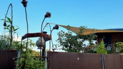 Bewohnter eines riesigen Hausbootes, Tomaten und Äpfel im eigenen Garten