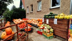 Kürbisausstellung im Vorgarten, Groß Ziethen