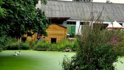Der grüne Ententeich auf dem Kinderbauernhof, Groß Ziethen