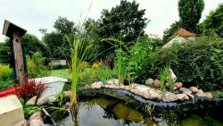 210904_Rudow-Mahlow-013