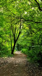 Wunderschöne Wanderwege auf dem Jakobsweg