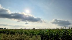 Die Landschaft im Roten Dudel