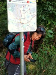 Nirgends ein Jakobswegzeichen zu entdecken