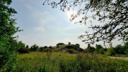 Westlicher Teil des alten Flughafengeländes