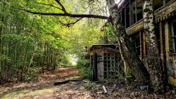 Unterkünfte an Birkenwegen