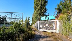 Restaurant Drewdog DogTap Berlin