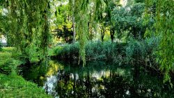 Klosterteich an der Dr.-Jacobsohn-Promenade