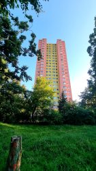 Der Marienpark in Mitten der Hochhäuser