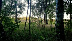 Blick in die Brandenburgische Natur, Mauer- und Jakobsweg