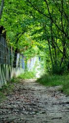 Ein verschlungener Pfad am Rande Berlins, Jakobsweg