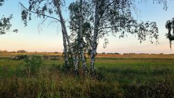 Ein letzter Blick in die endlosen Weiten Brandenburgs, Jakobsweg