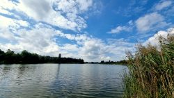 Ausblick auf den Falkenhagener See