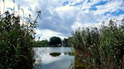 Seltener freier Blick auf den Falkenhagener See