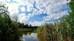 Blick auf den Falkenhagener See am südlichen Ende