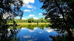 Auf dem Damm zwischen Falkenhagener See und Neuer See