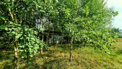 Alte Stallungen auf dem ehemaligen sowjetischen Gelände