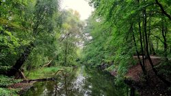 Erste Einblicke in das Tegeler Fließ