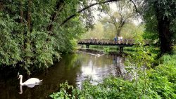 Das Tegeler Fließ eine Idylle