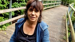 Holzstege im Tegeler Fließ