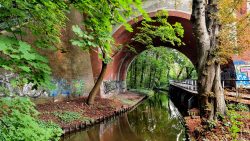 Brücke im Tegeler Fließ