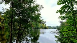 Blick auf den Hermsdorfer See