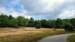 Mauerweg im Sonnenschein