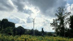 Blick in die Landschaft nähe Hermsdorfer Strasse
