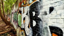 Lost Gelände am S-Bahnhof Wilhelmsruh