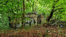 Lost Place Bahnhofsgelände Wilhelmsruh