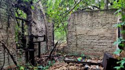 Lost Place Gelände, S Bahn Wilhelmsruh