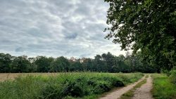 Feldwege und ganz schön kühl