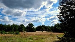 Die wenigen Sonnenstrahlen schnell eingefangen