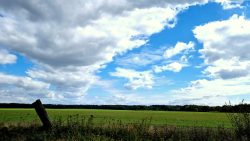 Soweit das Auge reicht