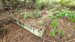 Ein verschlossender Zugang