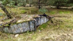 Ein Unterstand im Wald