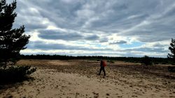 Die kalte Wüste bei Güterfelde