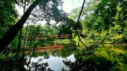 Rote Brücke am Schwanengrabem