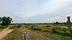 Zäune soweit das Auge reicht, Döbritzer Rundwanderweg