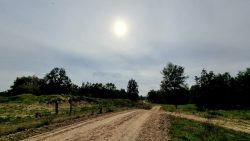 Sandwege in der Döbritzer Heide