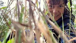 Eine Pause am Wegesrand